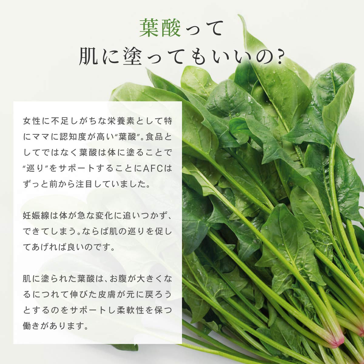 Amazon.co.jp: (AFC) マタニティクリーム mitete 120g×3本 妊婦