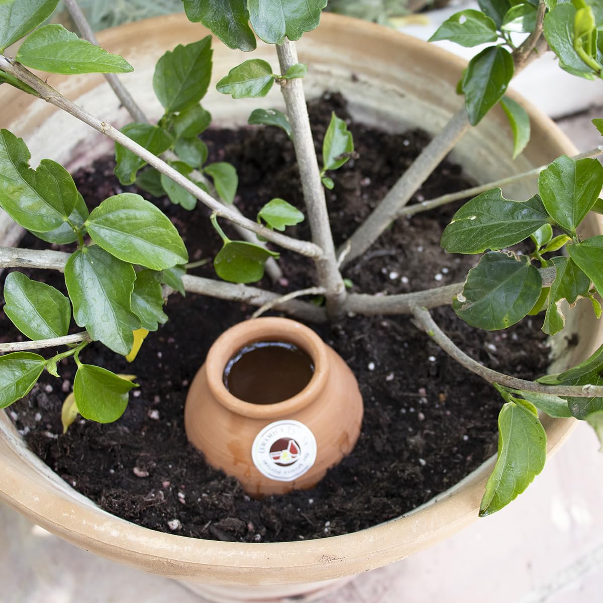 CERÁMICA ESPAÑA | Distributeur d'eau | Système d'irrigation | Arrosage automatique | Arrosage par compte-gouttes | Pack x3 Modèle J01 | 500 ml | Eco | 100% fait main | 10x10x22 cm