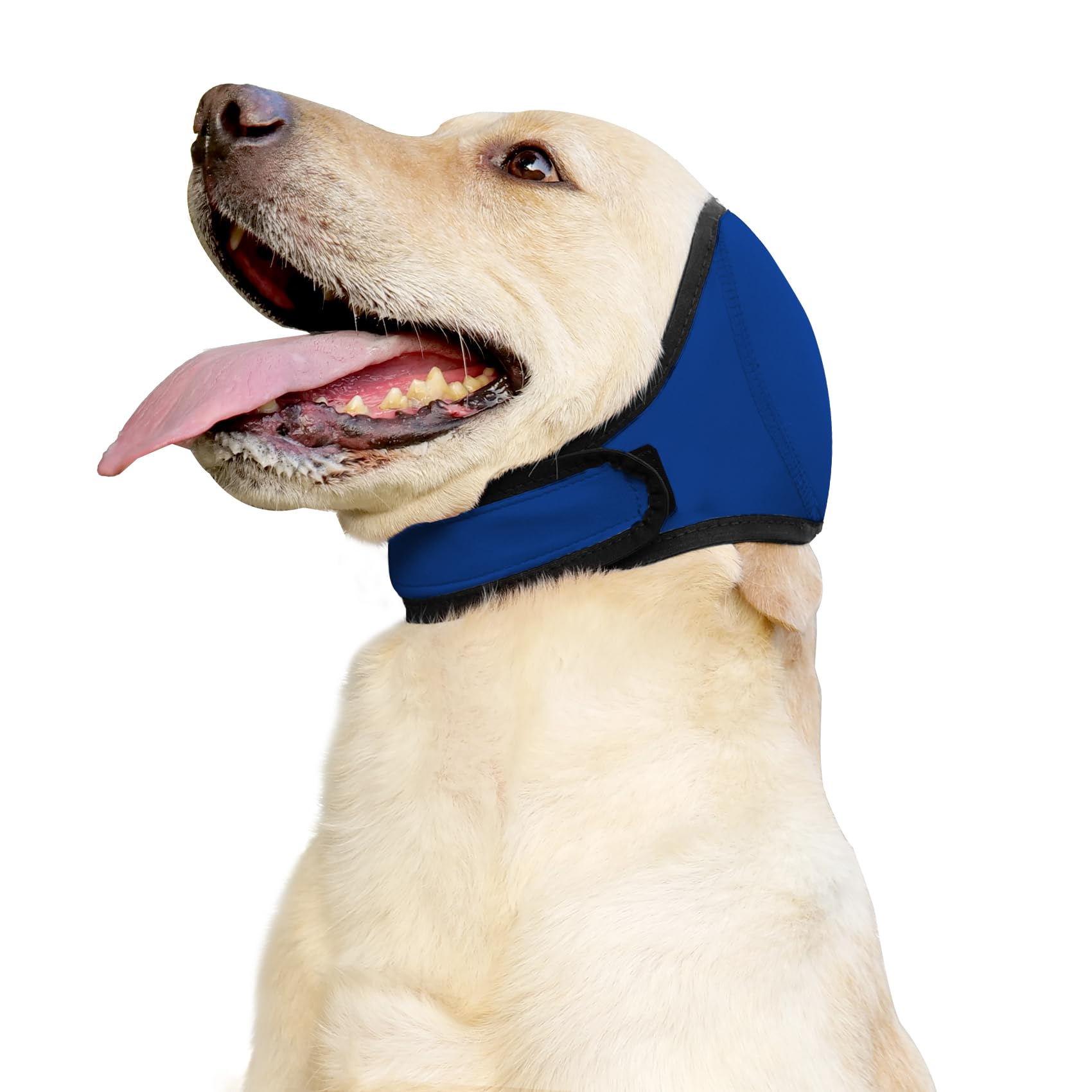 JOHNBOLIN Dog Ear Muffs &amp; No Shake Ear Wrap for Hematoma, Bathing, Drying &amp; Noise Anxiety Relief - Elastic Waterproof Ear Protector with Calming Hoodie Design for Grooming (Blue, S)