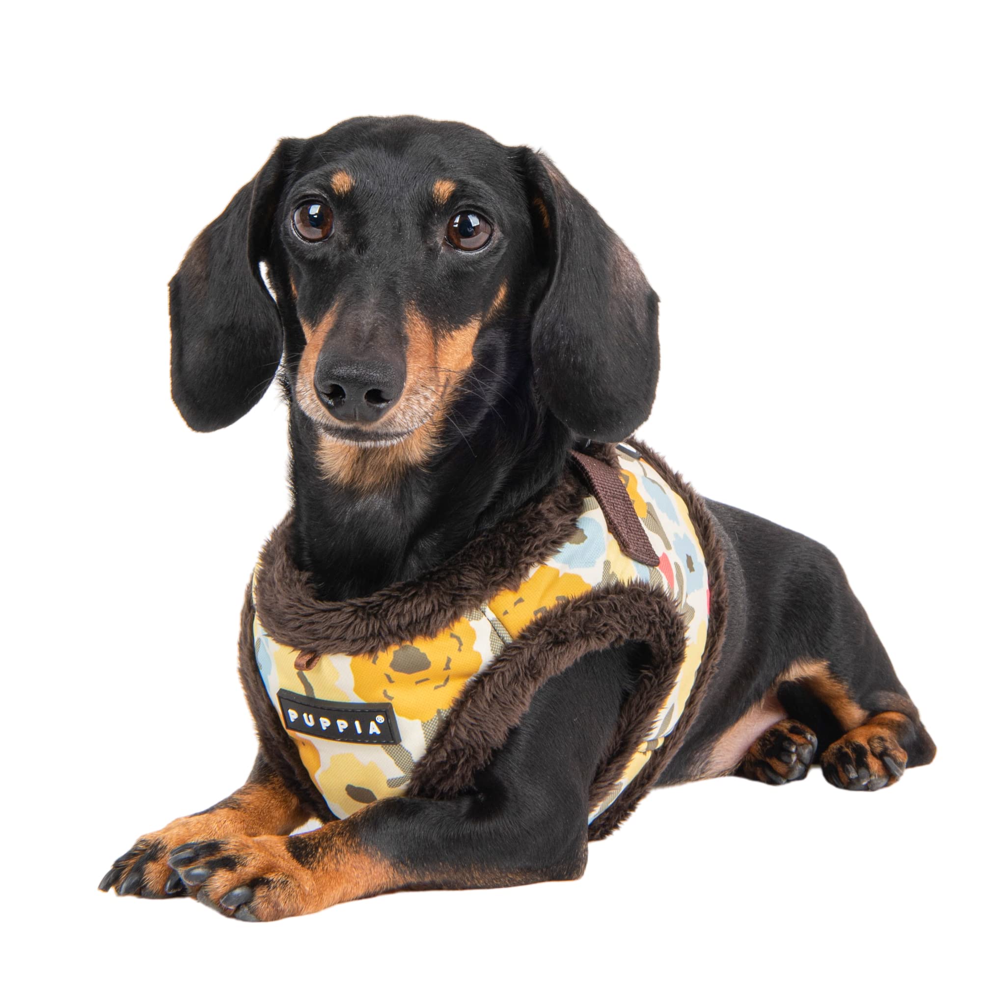 Dog Harnesses For Large Dogs Puppia Spring And Summer Fashion Over