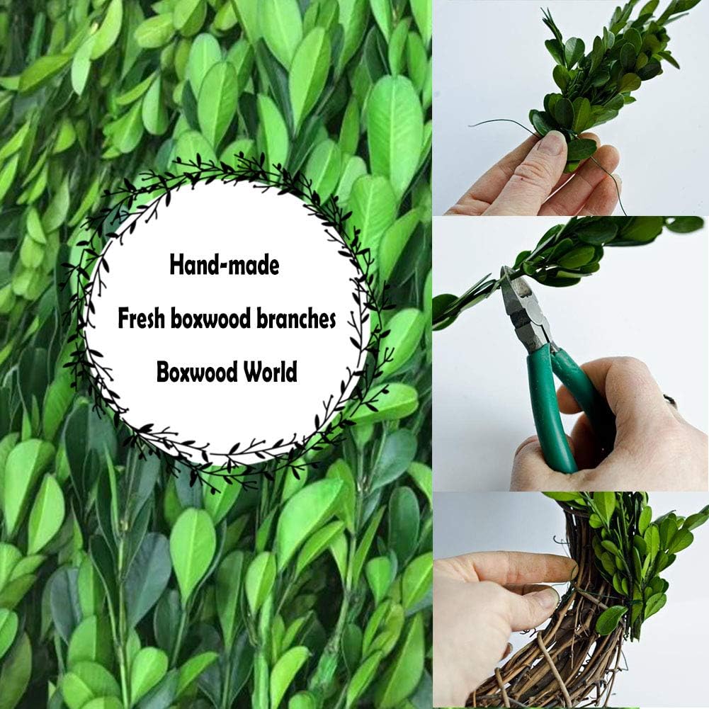 Boxwood Wreath X-Larger 22 inch Preserved Nature Boxwood Wreath Home Decor Stay Fresh for Years for Door Wall Window Party Décor Spring Summer Fresh Green Wreath - Image 8