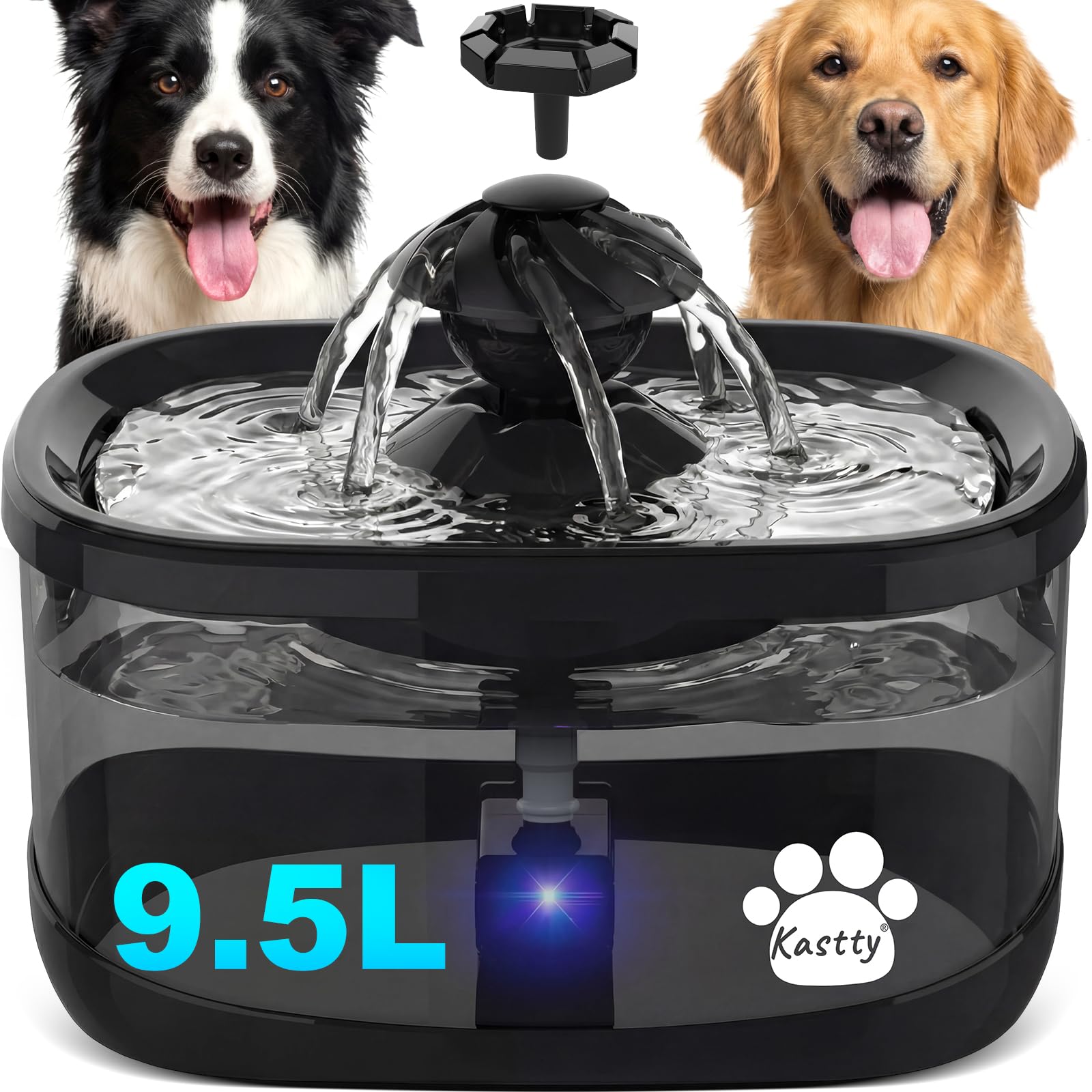 Fontaine à eau pour chien intérieur Kastty grand réservoir 9,5 L avec DEL