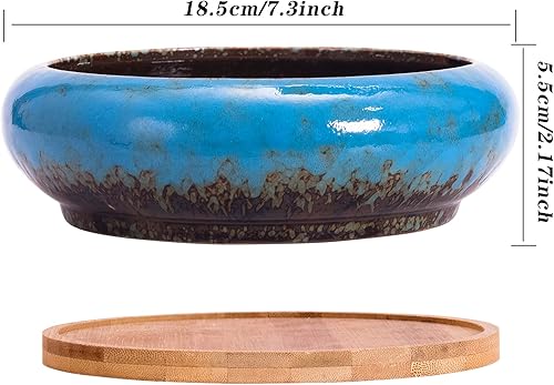 Miniatura 4 de ARTKETTY Plantas suculentas artificiales  Plantas suculentas falsas grandes en maceta de 7.3 pulgadas para decoración de escritorio de oficina en