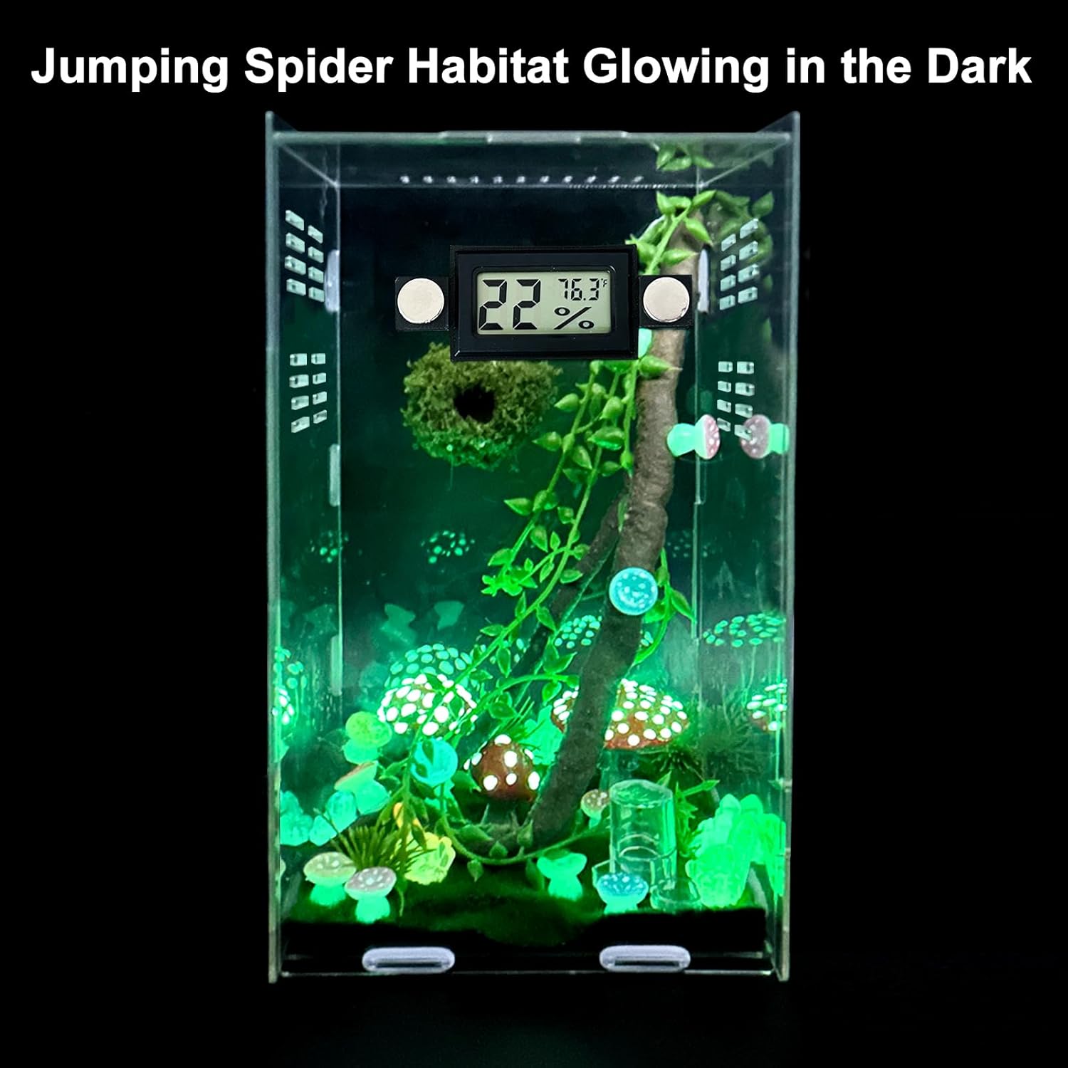 Jumping Spider Enclosure,DIY Insects Habitat,Small Reptile Terrarium Glass House Accessories Set,with Temperature and Humidity Detector Water Feeder Platform Hide,5.5“x5.5”x9.5“ (Luminous Mushrooms)