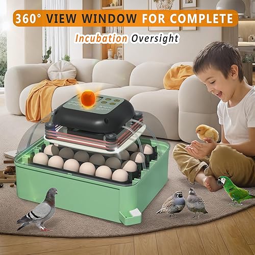 Miniatura 2 de ZOHOKO Incubadoras para incubar huevos - Incubadora de 24 huevos con giro automático de huevos y control de humedad, y vista panorámica de 360 para