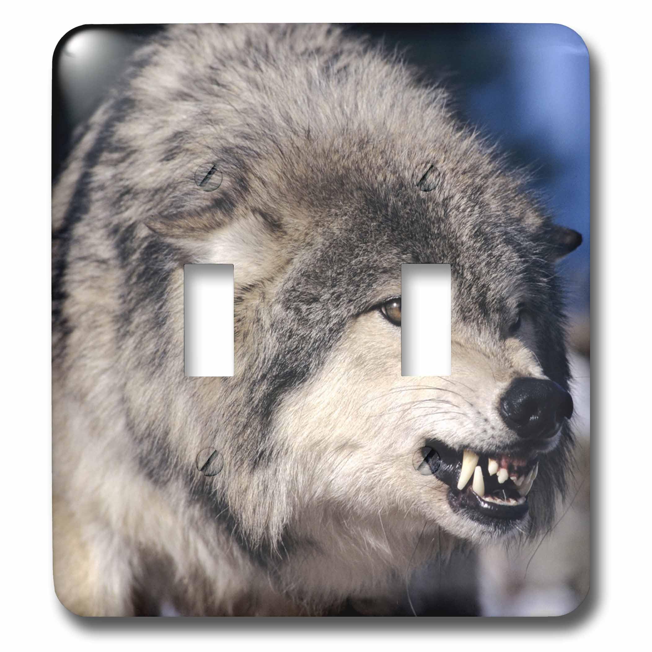 Double interrupteur d'art loup gris 3dRose lsp_84069_2 premium