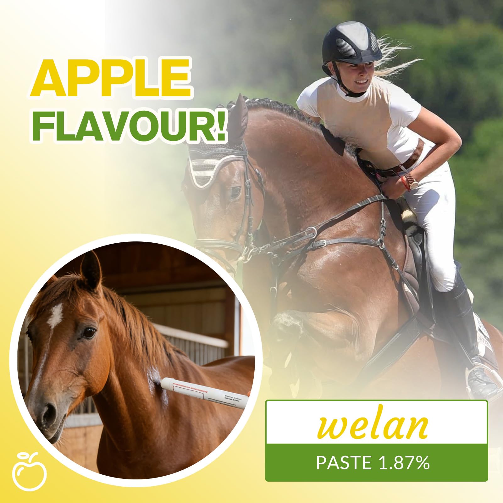 Lot de 6 gels pour chevaux 1,87 % saveur de pomme pour chevaux jusqu'à 567 kg