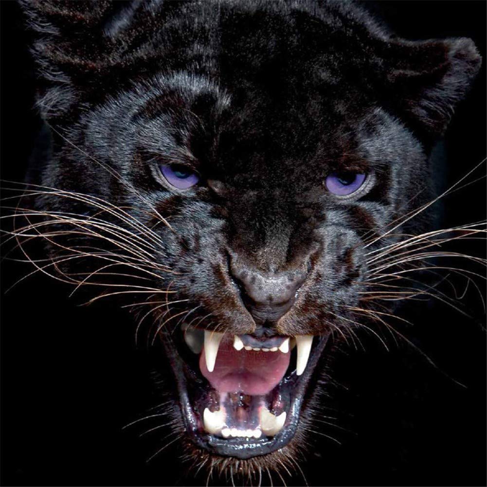 DIY 5D Diamond Painting Kits Full Drill Black Panther Leopard 30x40cm/12*16in Crystal Rhinestone Cross Stitch Diamond Painting Adults/Kid Mosaic Canvas Embroidery Diamond Art Craft for Home Wall Decor
