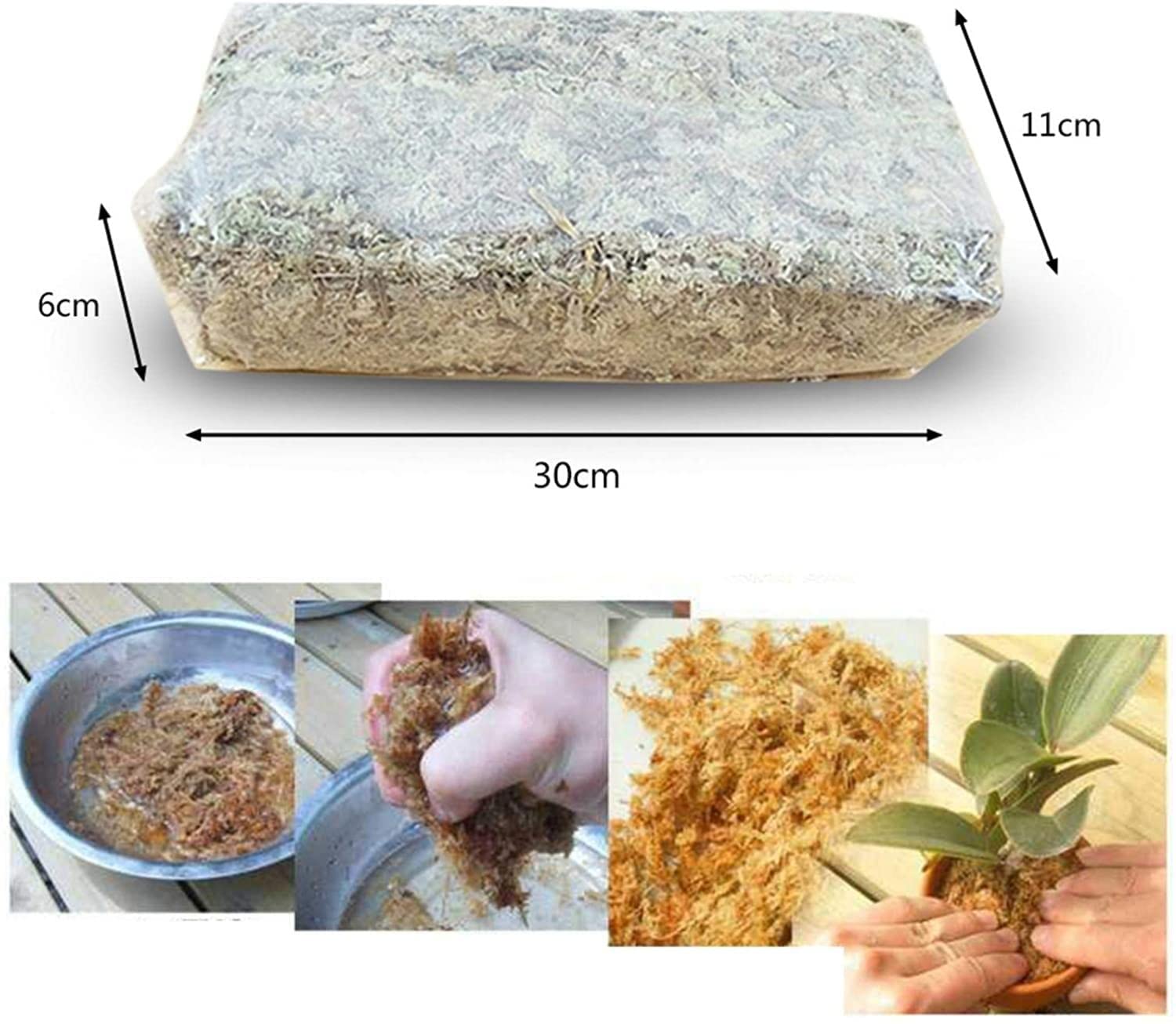 Substrat Mousse De Sphaigne Compressée 12L - Pour Orchidées Phalaenopsis, Plantes épiphytes - Hors Sol, Réhydratable