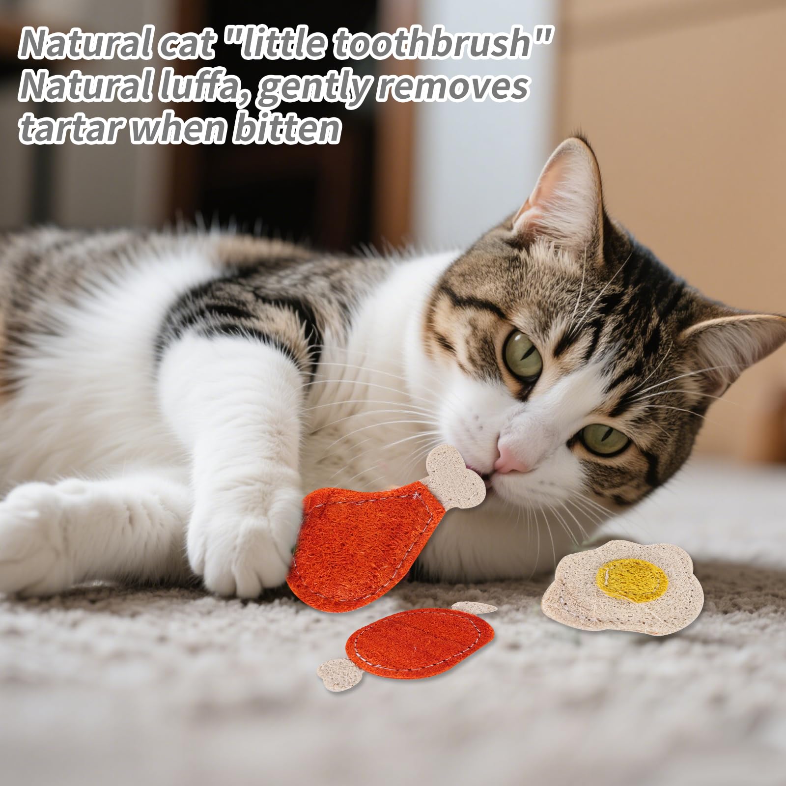 BOXOB 3pcs Luffa Cat Chew Toys with Catnip - Image 4