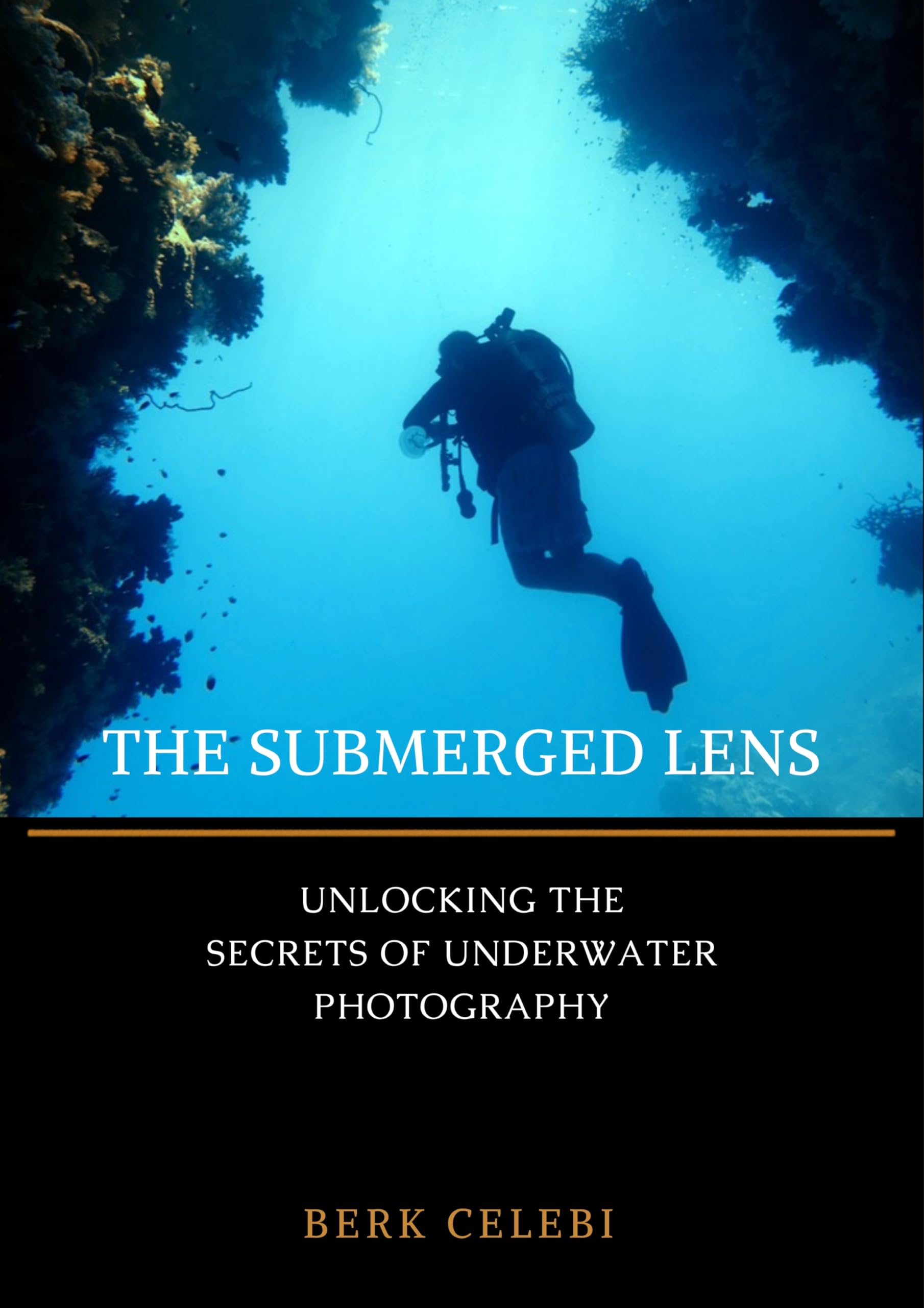 Underwater Photography Book The Submerged Lens Guide Pratique en Anglais