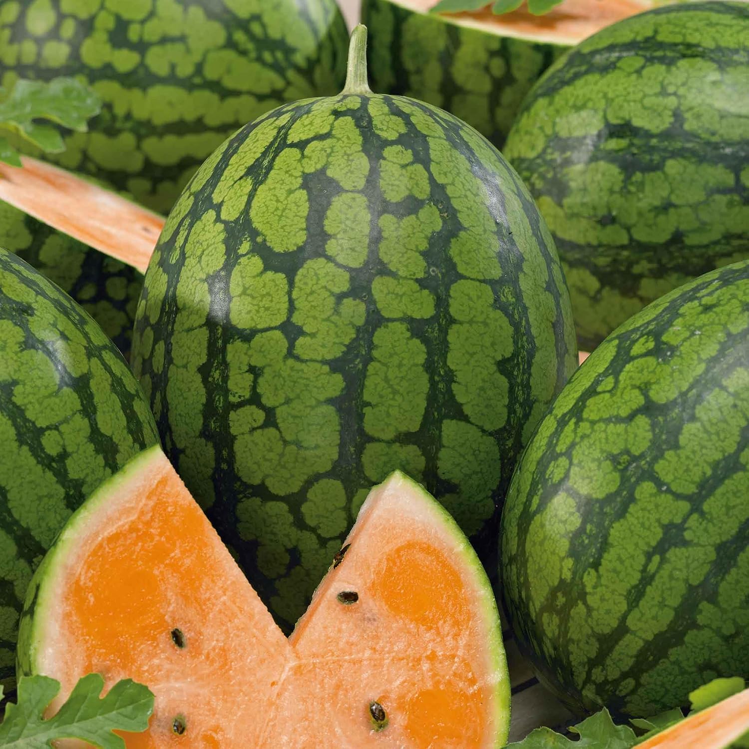 Eden Brothers Watermelon Seeds - Non-GMO Seeds for Planting, Multiple Varieties Available | Low-Maintenance Vegetable Seeds