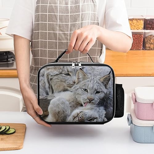 Miniatura 4 de Canadian Lynx Clean Time - Bolsa de almuerzo reutilizable, caja térmica de cuero con asa desmontable y forro acolchado para picnic en la oficina