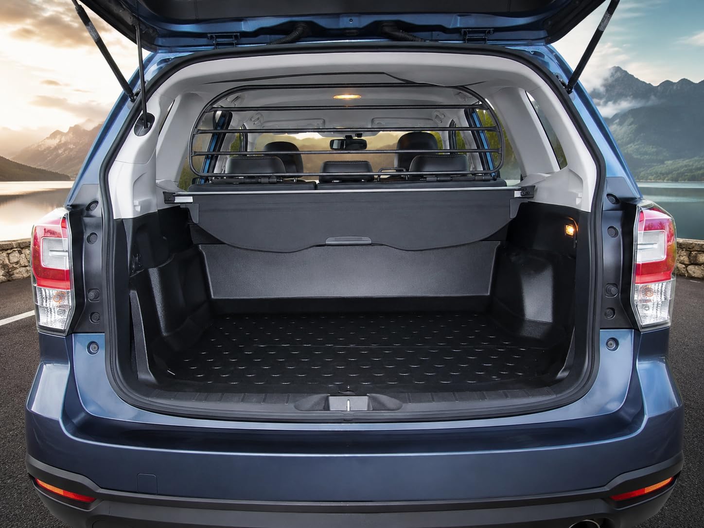 ERGOTECH Separador para Rav4 (2026 en adelante), RDA65cHBG-M, rejilla divisoria para transporte de perros y equipaje
