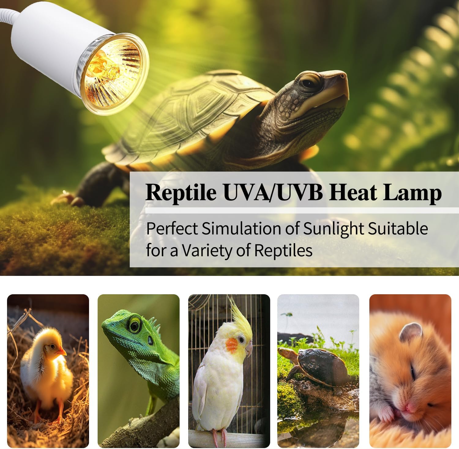 Turtle Lamp 2 Pack Reptile Heat Lamp, Turtle Heating Light with 240cm Cord, Basking Spot Lamp with Clip, Basking Light for Turtle Tank with 360° Rotatable Hose & Clamp & Adjustable Switch(No Bulb)
