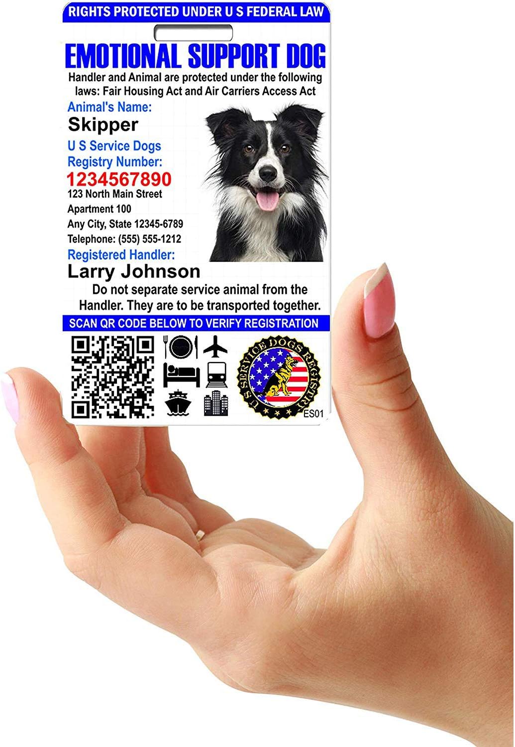 Buy Just 4 Paws Custom Emotional Support Id Card With Qr Code And Security Seal Registration To U S Service Dogs Registry Plus Id Holder Free Digital Id Portrait