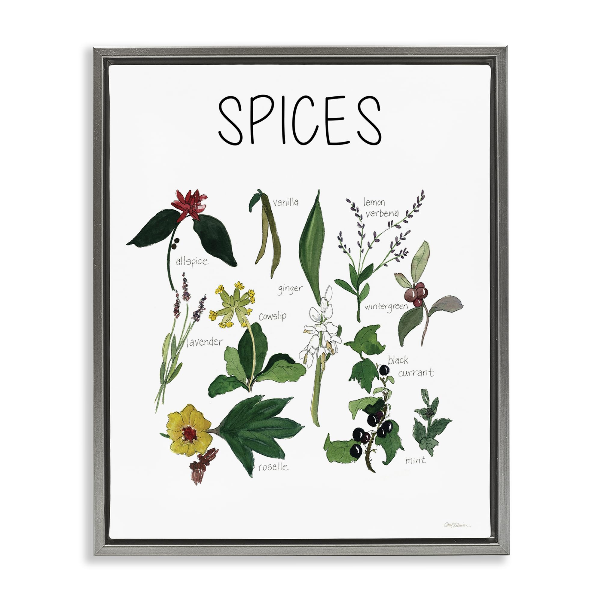 Stupell Industries Spices Botanical Identification Chart 'Spices Identification Chart', Floating Frame Canvas Art, Gray, 25 X 31 Inches, Easy To Hang And Sturdy, Made In Usa, By Carol Robinson
