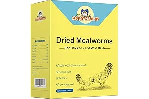 Bluebird Feeder for Mealworms: Feed Backyard Birds Naturally