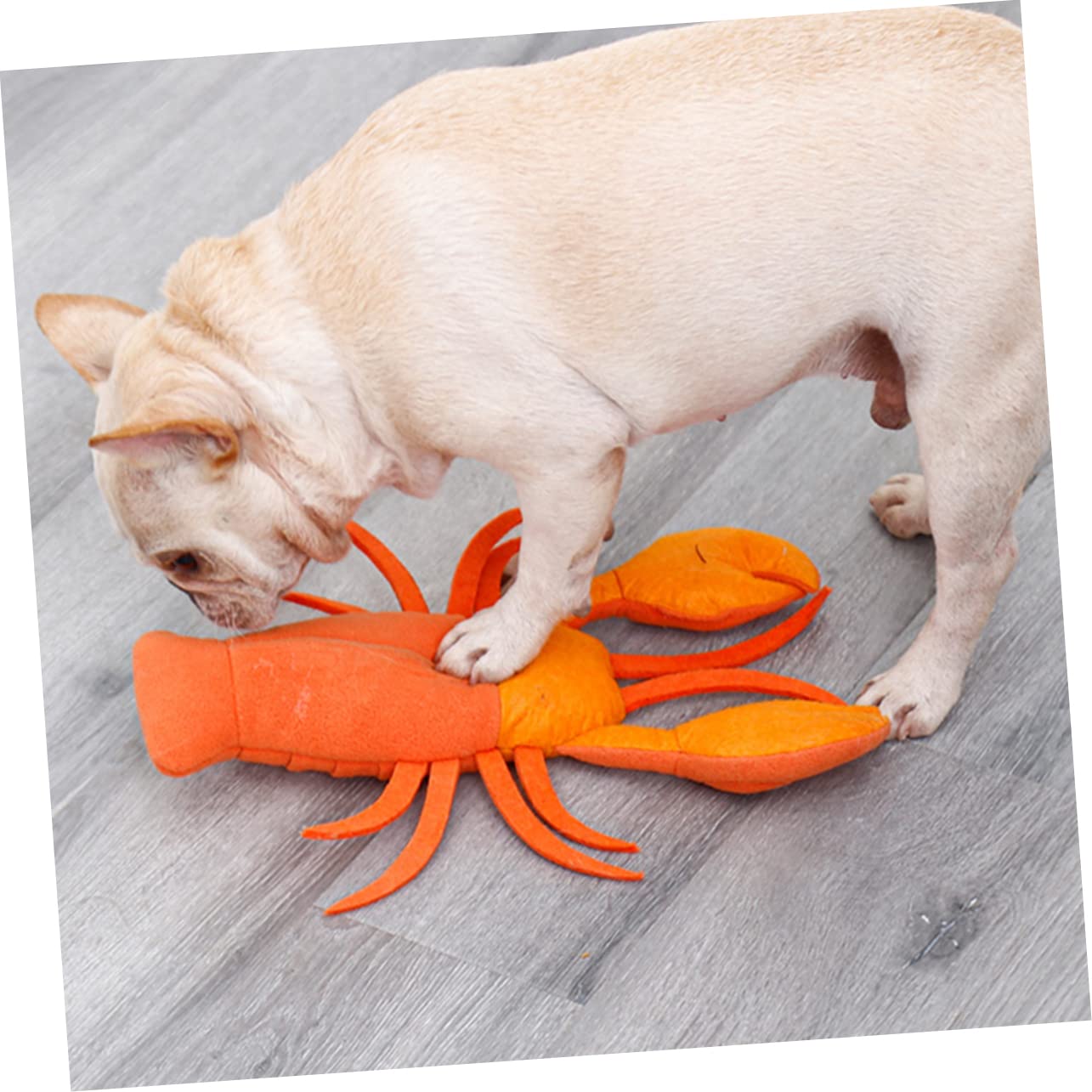 Angoily 3 Piezas Juguetes de alimentación de Mascotas Juguetes de Comida Juguete para la dentición Juguete para olfatear Perros Juguete para olfatear Mascotas Alimentar rapé