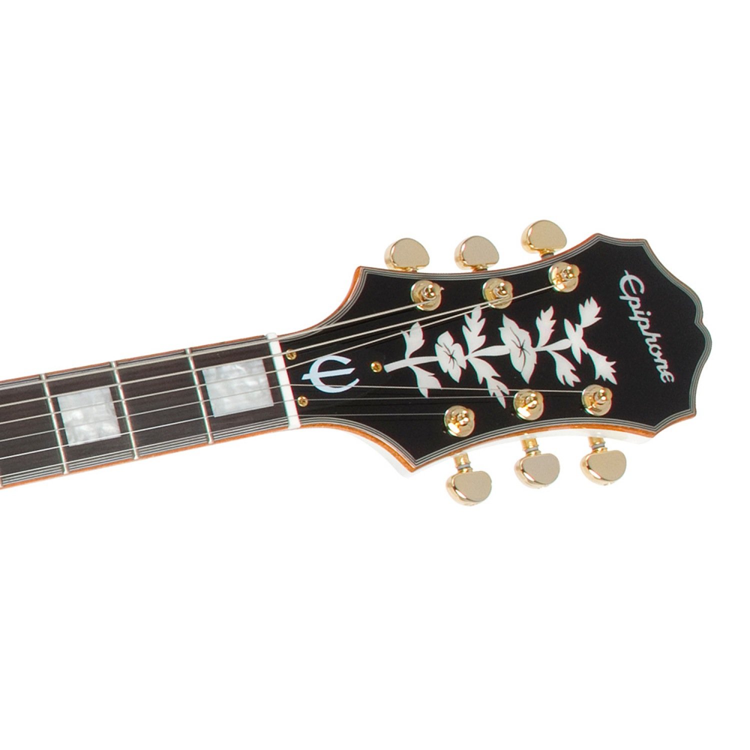 Amazon | Epiphone Emperor Swingster Royale | エレキギター | 楽器