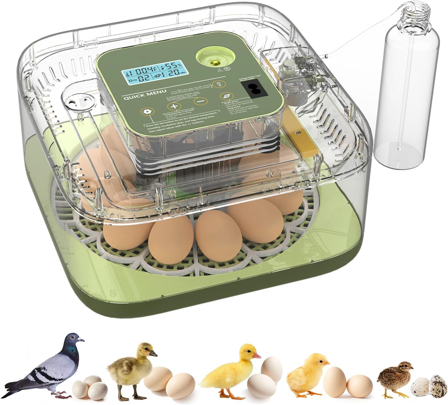 Incubators for Hatching Eggs 12 Egg Digital Egg Incubator Precision Auto Temp Humidity Control 6 Gear Adjustable Auto Turner Auto Stop Turning Hatching Days Display for Chicken Duck Goose Eggs (Green)