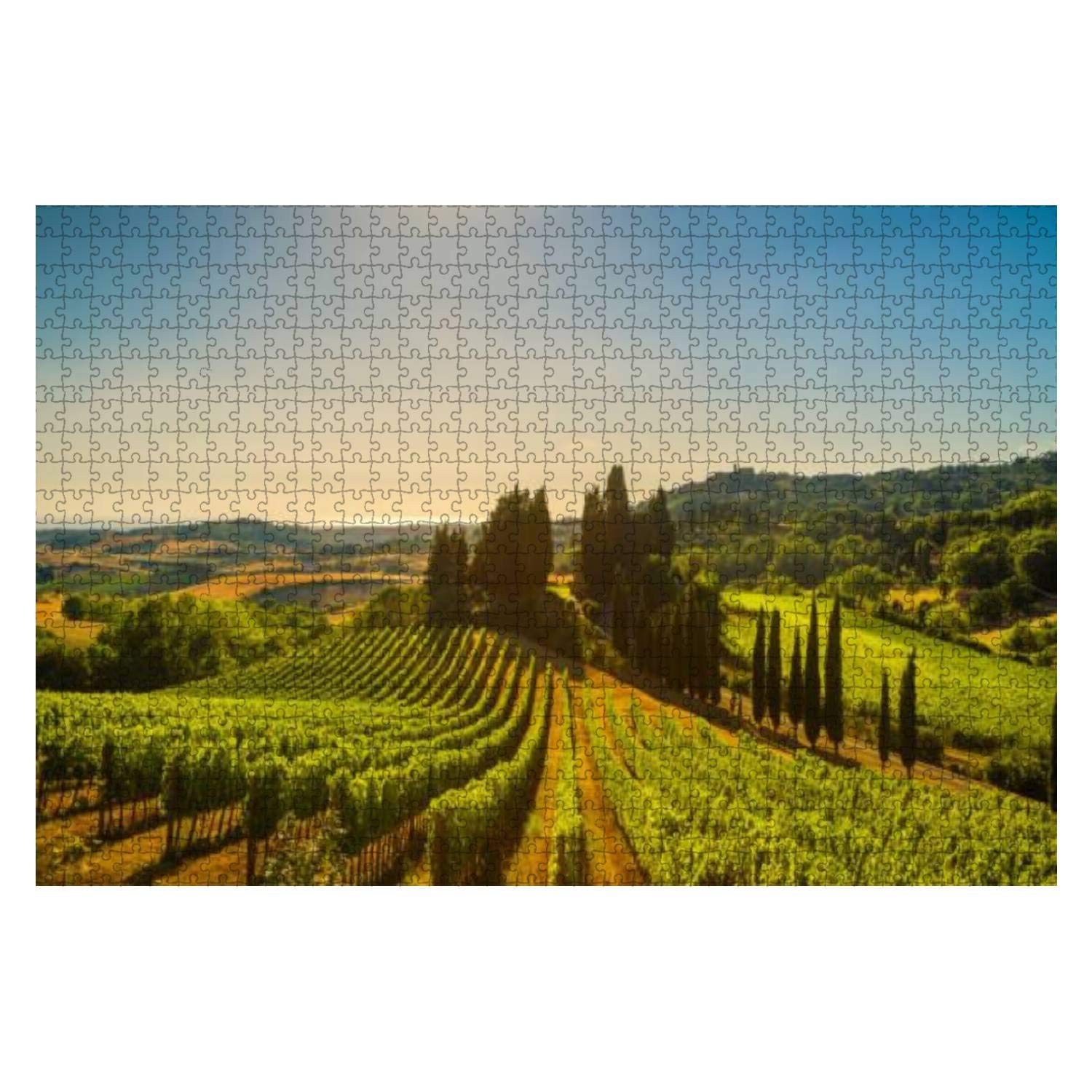 Casale Marittimo village vineyards landscape Maremma Tuscany Italy 1000 Pieces Wooden Jigsaw Puzzles for Adults Decompression DIY Children Educational Puzzles Creative Games Toys Gift Home Decor