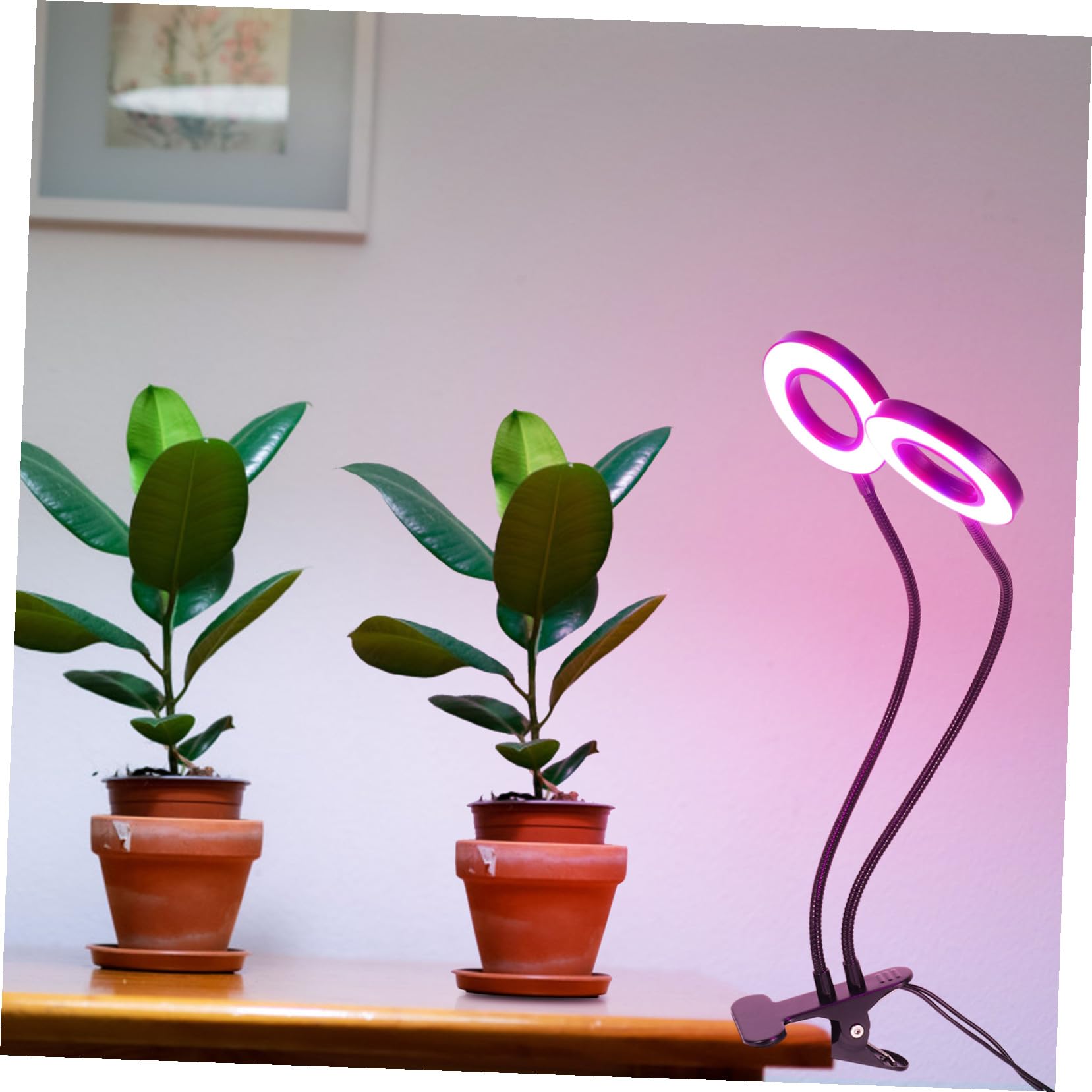 INOOMP Led Pflanzenlampe Clip Mit USB 5v Einstellbares Pflanzenwachstumslicht Für Zimmerpflanzen Full Spectrum Wachstumslicht Für Innenbereiche Energiesparend Und Langlebig
