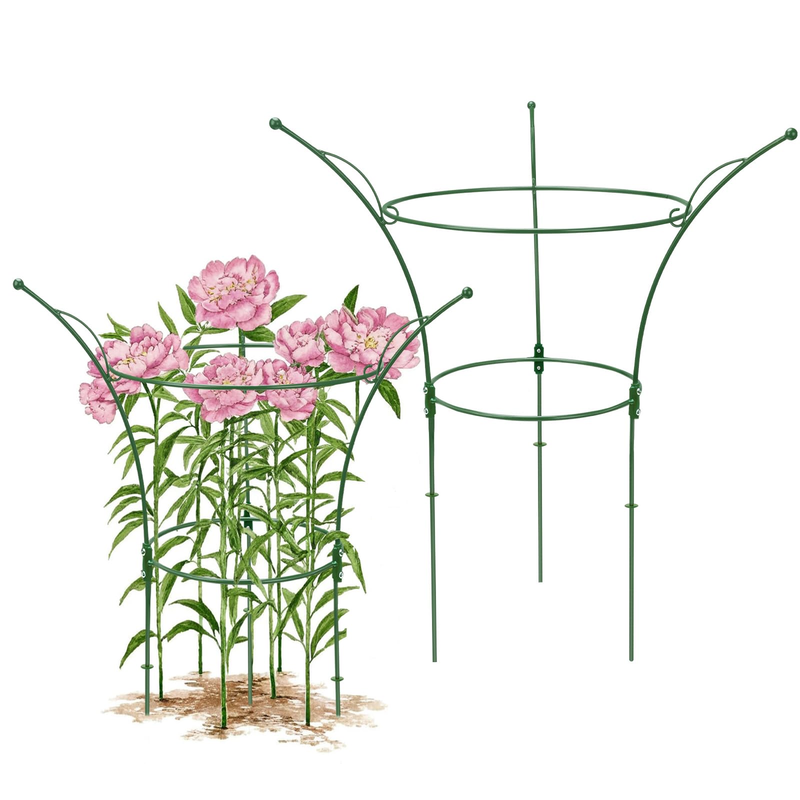 Peony Cages - Support Roses & Flowers -8 Peony Cages - Support Roses & Flowers -8