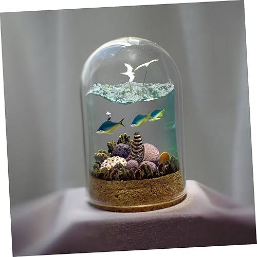 Miniatura 3 de ABOOFAN 5 unidades de mini cúpula de cristal Cloche decorativo con tapones de corcho, exhibición de terrario transparente, base de corcho para