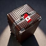 5 +1 Packs Silicone Luggage Tags for Suitcases Canadian Flag Luggage Tags with Name Cards & Stainless Steel Loop Suitcase Tags Bright Color Personalized Tags Identifiers for Woman