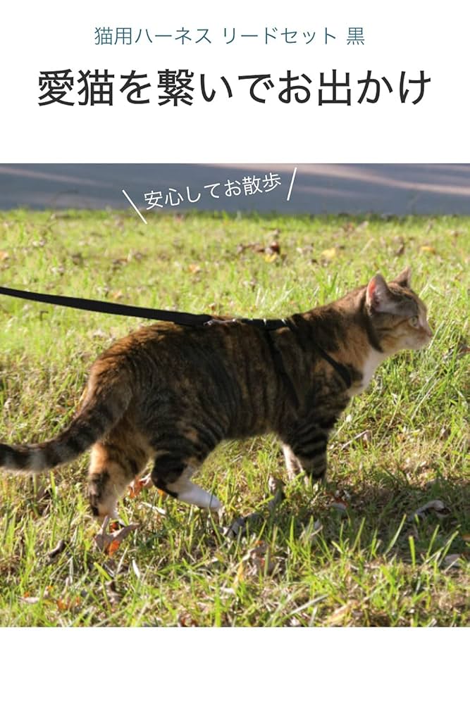 ハロウィンゴスロリ(ブラック)わんちゃん猫ちゃん用ハーネスセット ハロウィンコスチューム,コスプレ猫,犬,ハロウィンパーティー