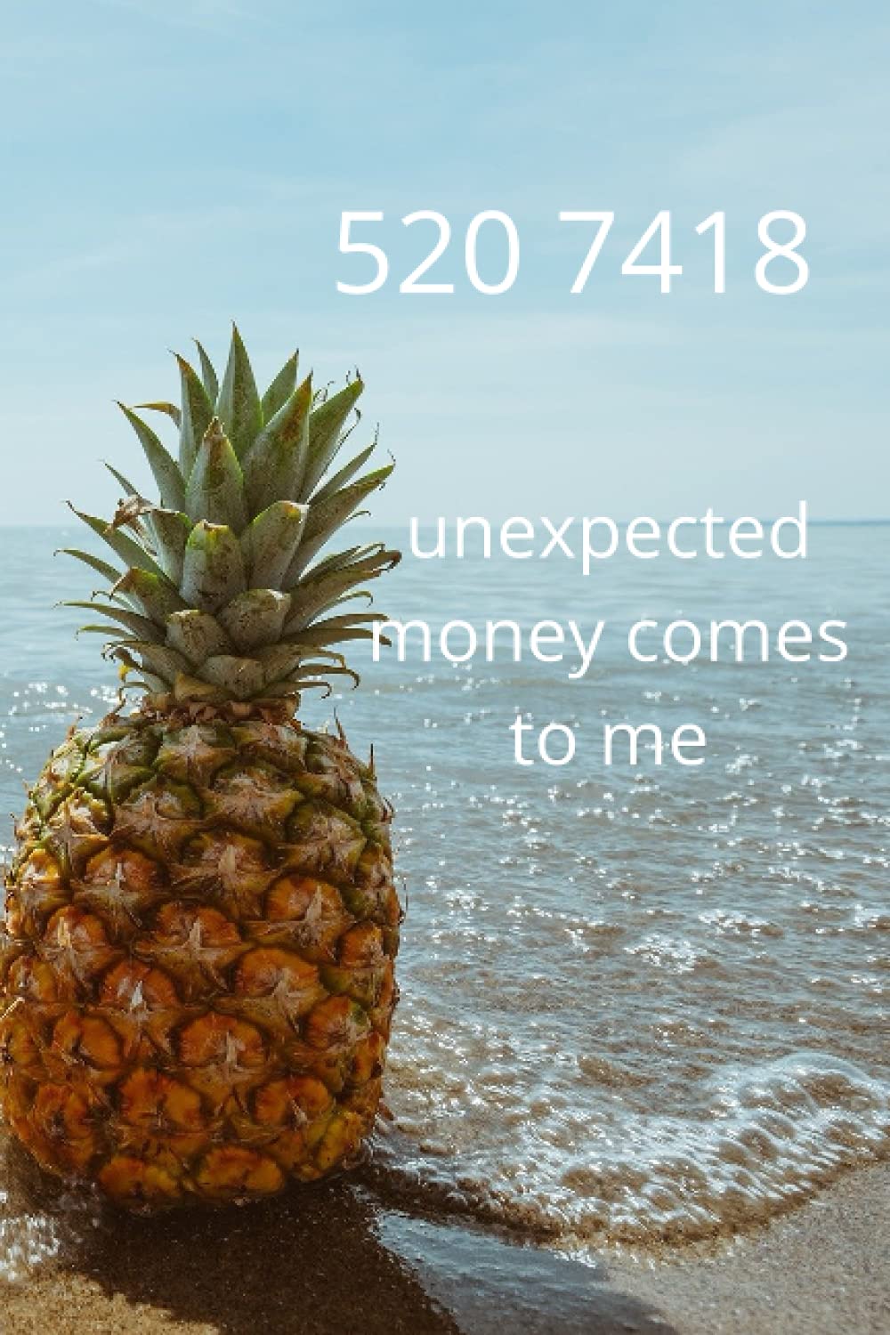 520 7418 Grabovoi code manifesting journal: Gratitude abundance wealth money notebook