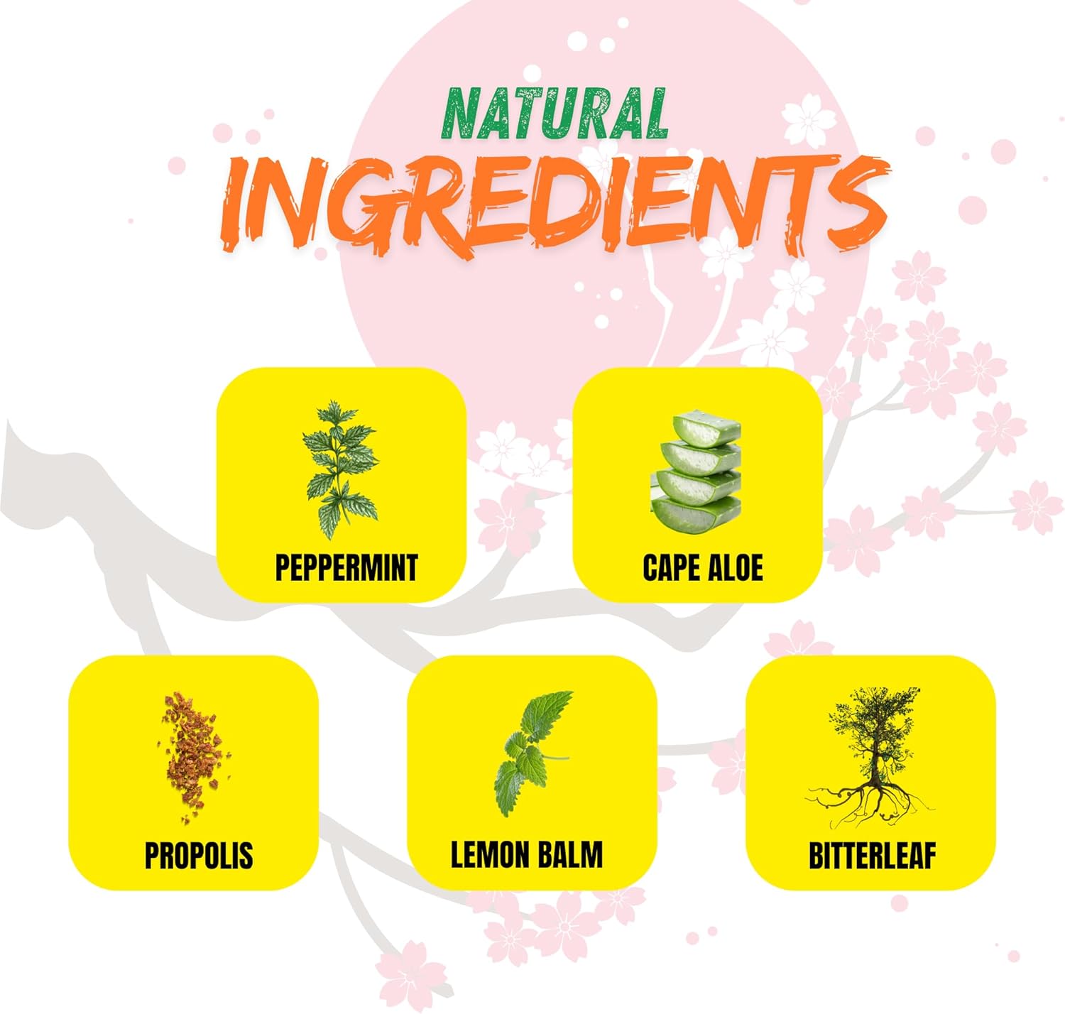 Seijaku Japanese Ancient Healing Blend - Oral (Lip) Sore, Genital Cold Sore and Boil Treatment