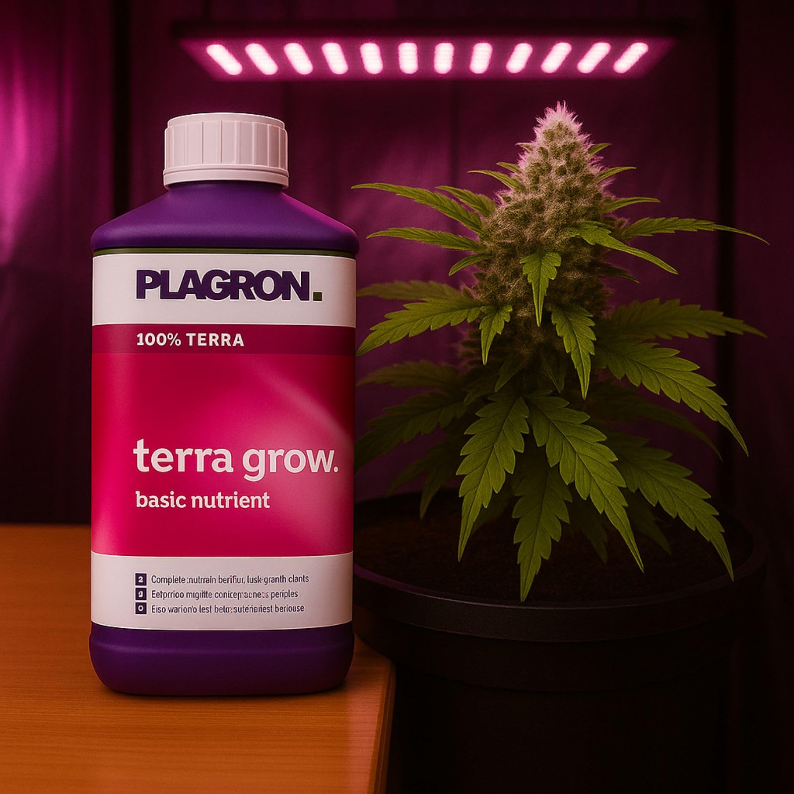 Weedness Plagron Terra Grow 5 L – Engrais croissance haute capacité