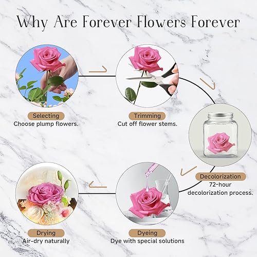 Miniatura 4 de Flores preservadas para mamá – Rosas rosadas preservadas en cúpula de cristal con luz LED para novia, flores reales eternas para mujeres, regalo