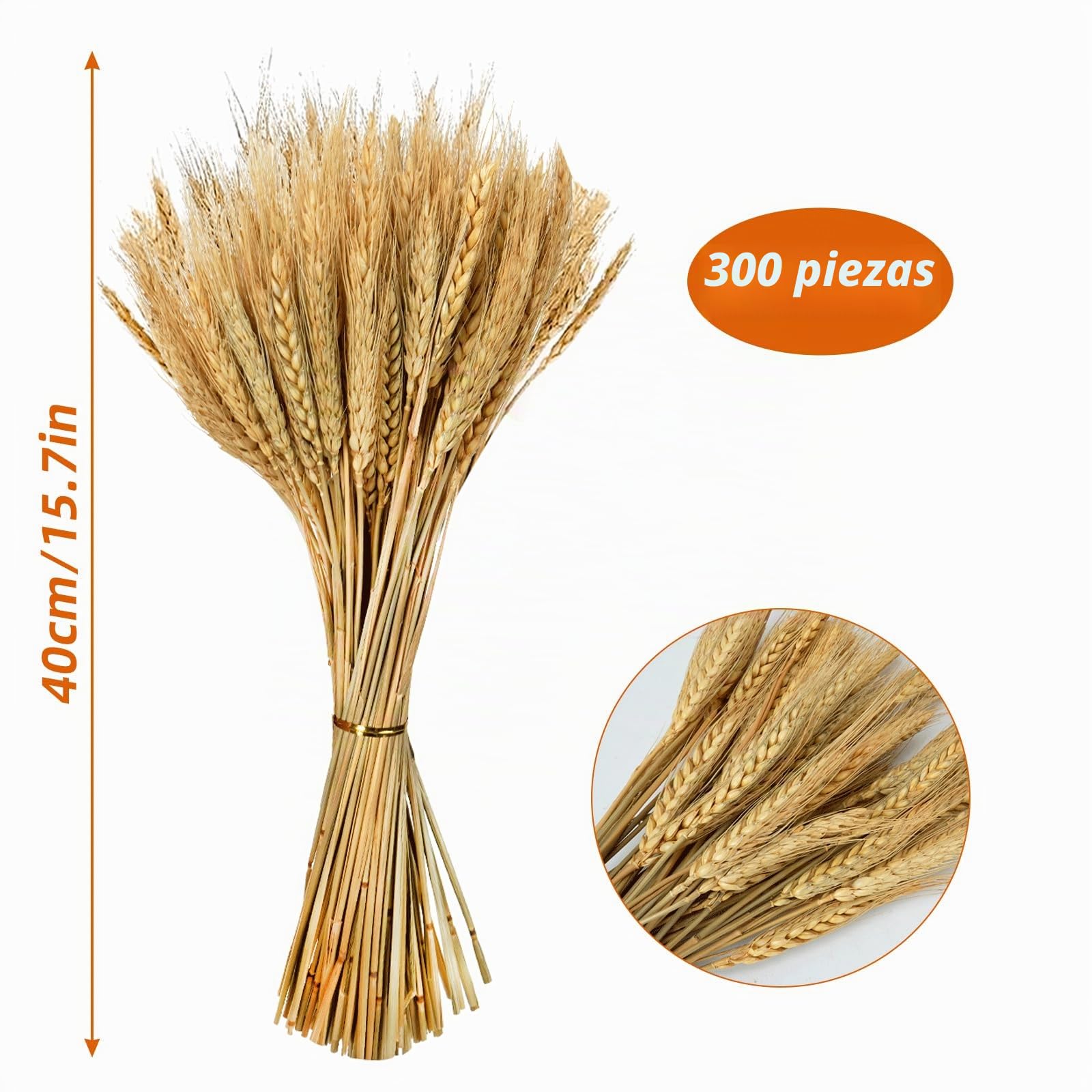 300 Piezas Espigas de Trigo Secas Naturales Flores de Trigo Seco Ramo de Hierb Flores Secas Decoracion para Hogar Mesa de Comedor Boda Decoración de Otoño