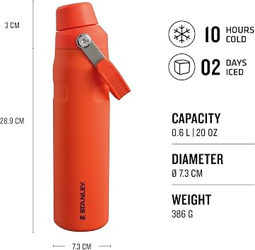 Stanley Aerolight IceFlow Fast Flow İçecek Şişesi, 0.6 L