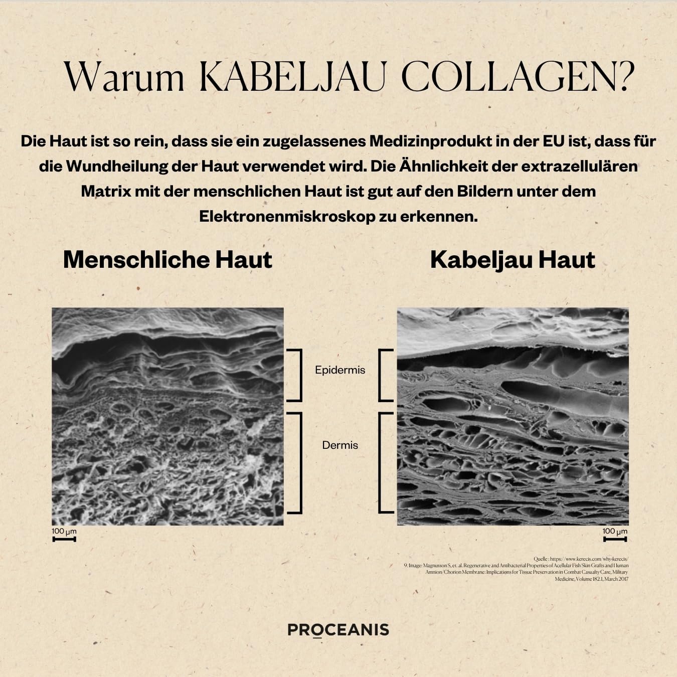 Arctic Marine Collagen Pulver aus Fisch 300g – Kollagen Hydrolysat Peptide Typ 1 und 3 aus nachhaltigem Fischfang im Nordmeer – mit Vitamin C – Ohne Zusatzstoffe – 30 Portionen