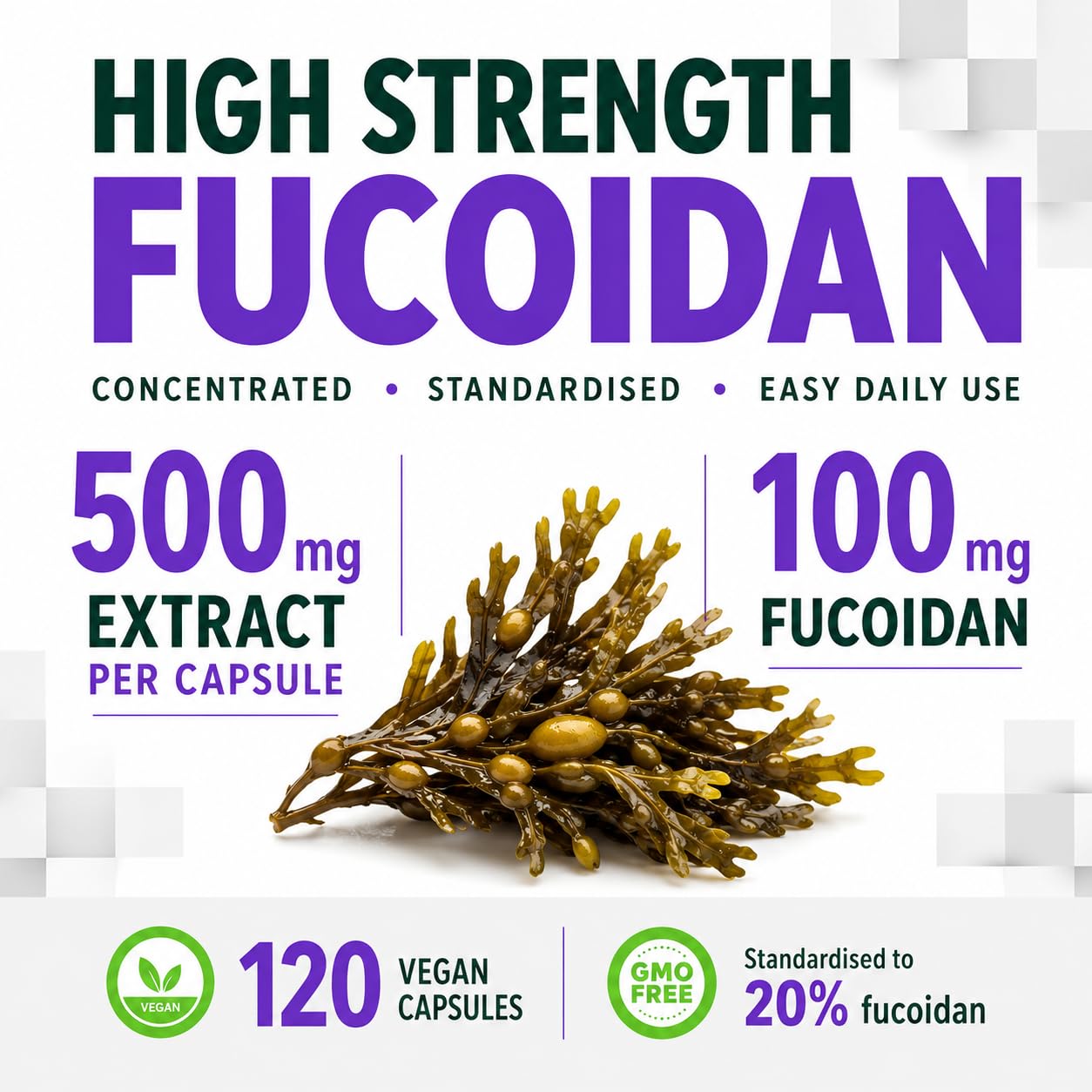Hepatica Fucoidan 100 mg | 10.000 mg Äquivalent | 500 mg 20:1 Blasentang (Fucus vesiculosus) Extrakt | 120 vegane Kapseln | GMP & Laborgeprüft