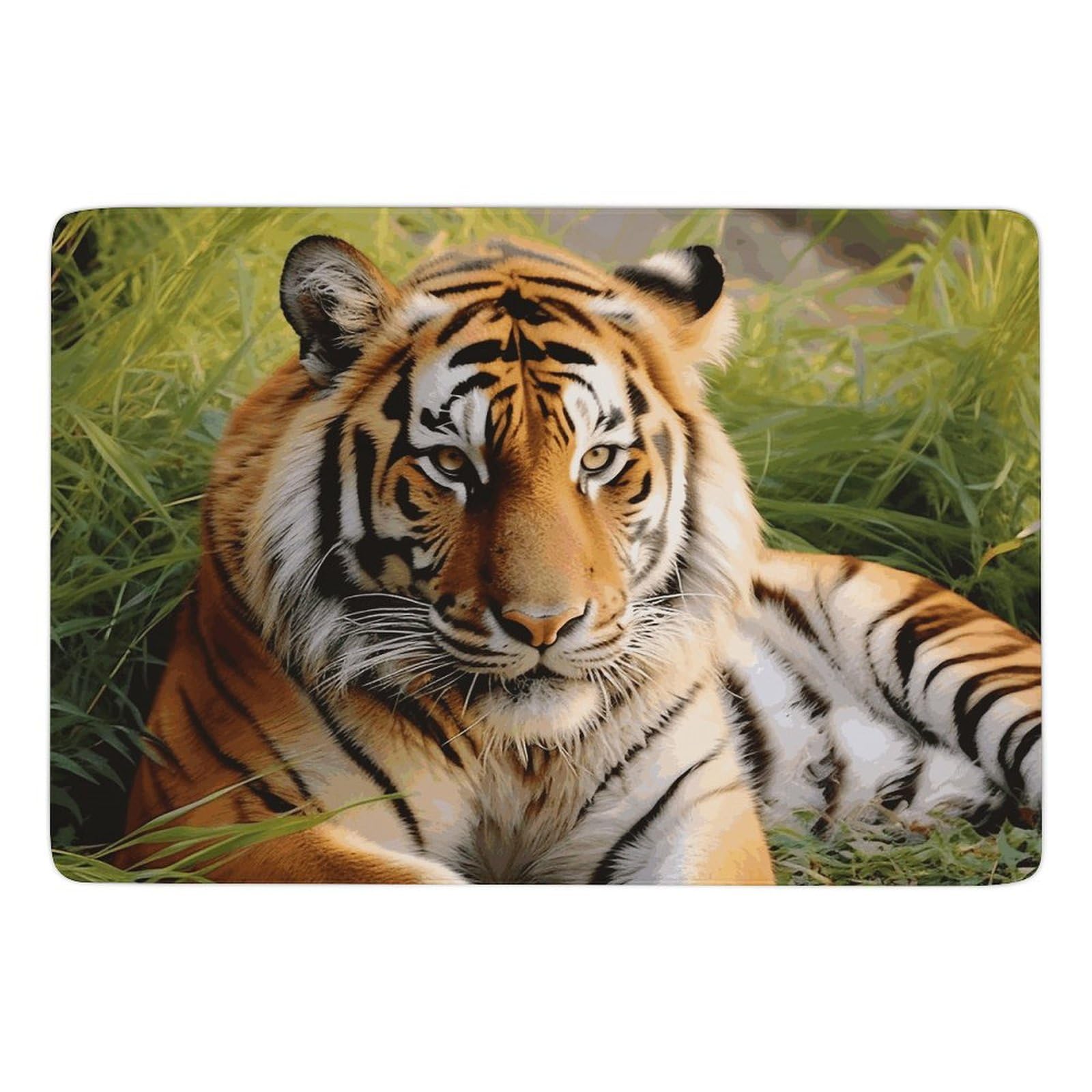 Tapis tigre lavable en velours corail doux et antidérapant pour intérieur
