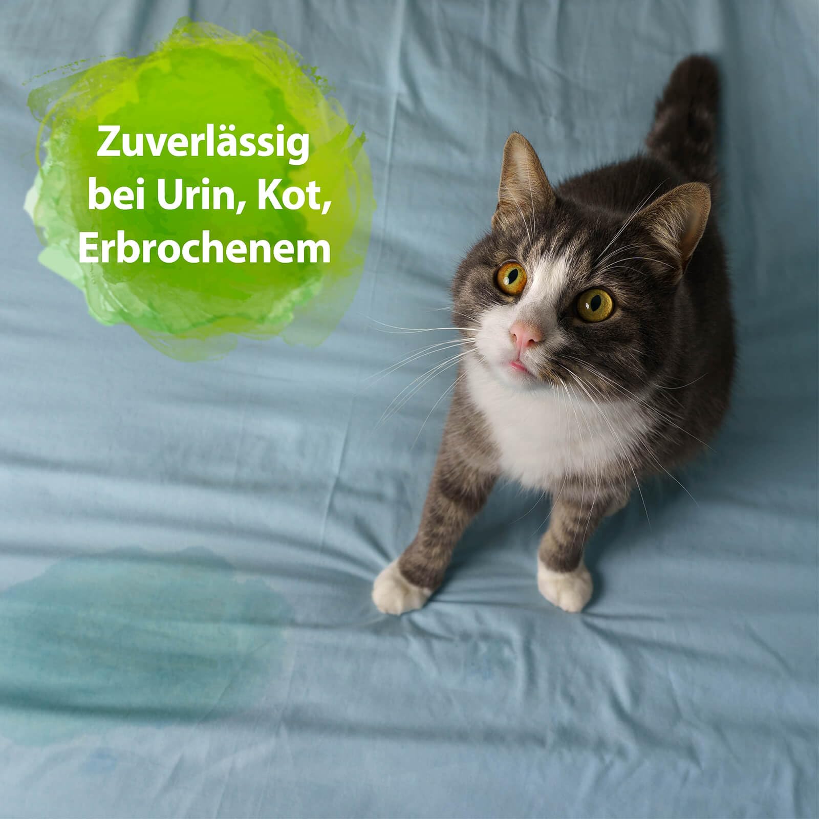 Bactador Hygienespüler Wäsche 3 x 1L- Wäschespülung Geruchsentferner - Mikrobiologischer Enzymreiniger & Geruchsentferner Wäsche - Hygiene Waschmittel für alle Textilien - Geruchsneutralisierer