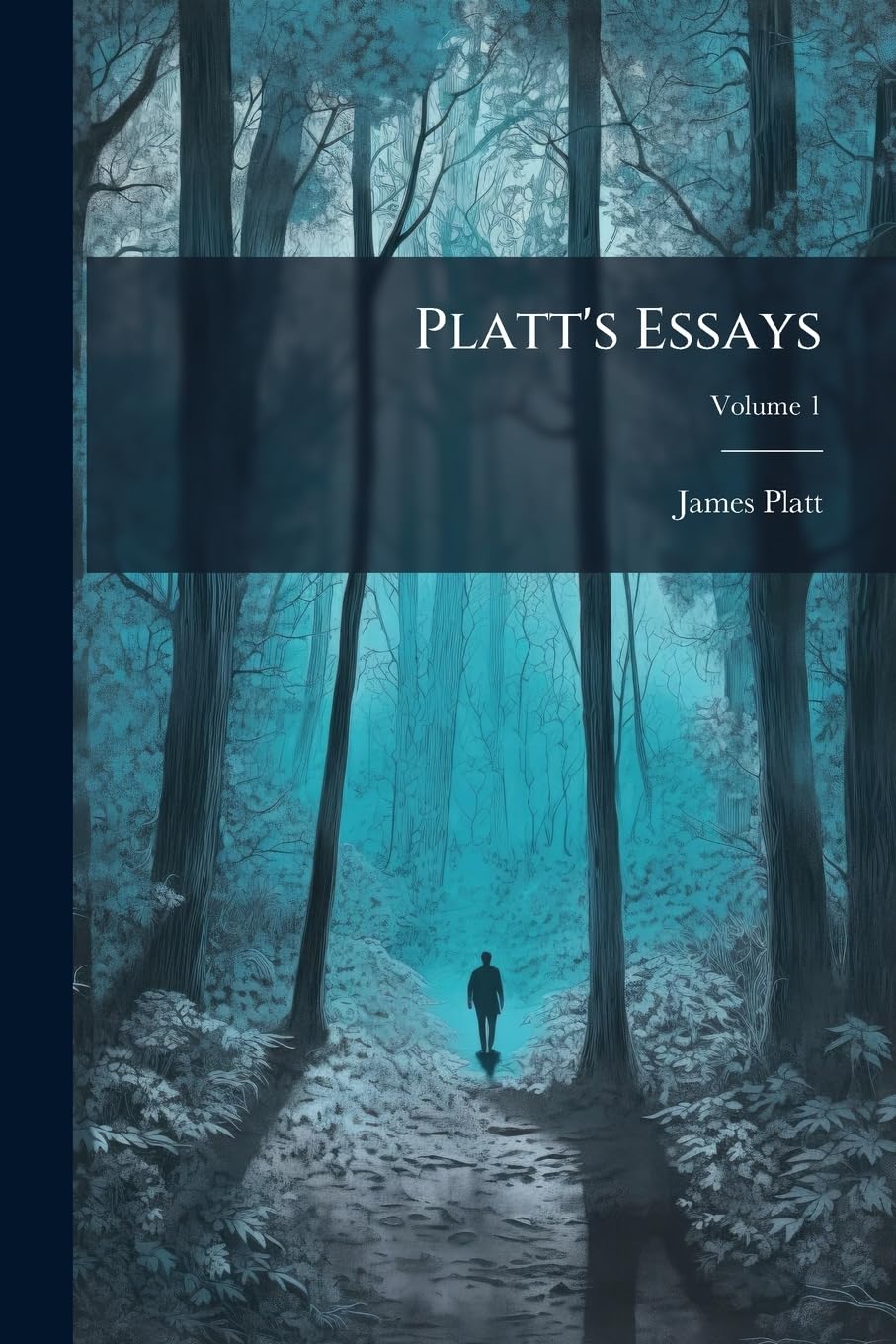 Platt's Essays, Volume 1 Paperback – Import, 4 March 2010