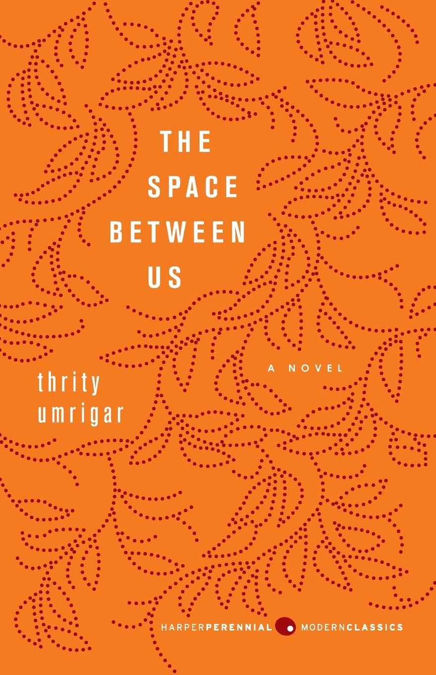 The Space Between Us: A Novel