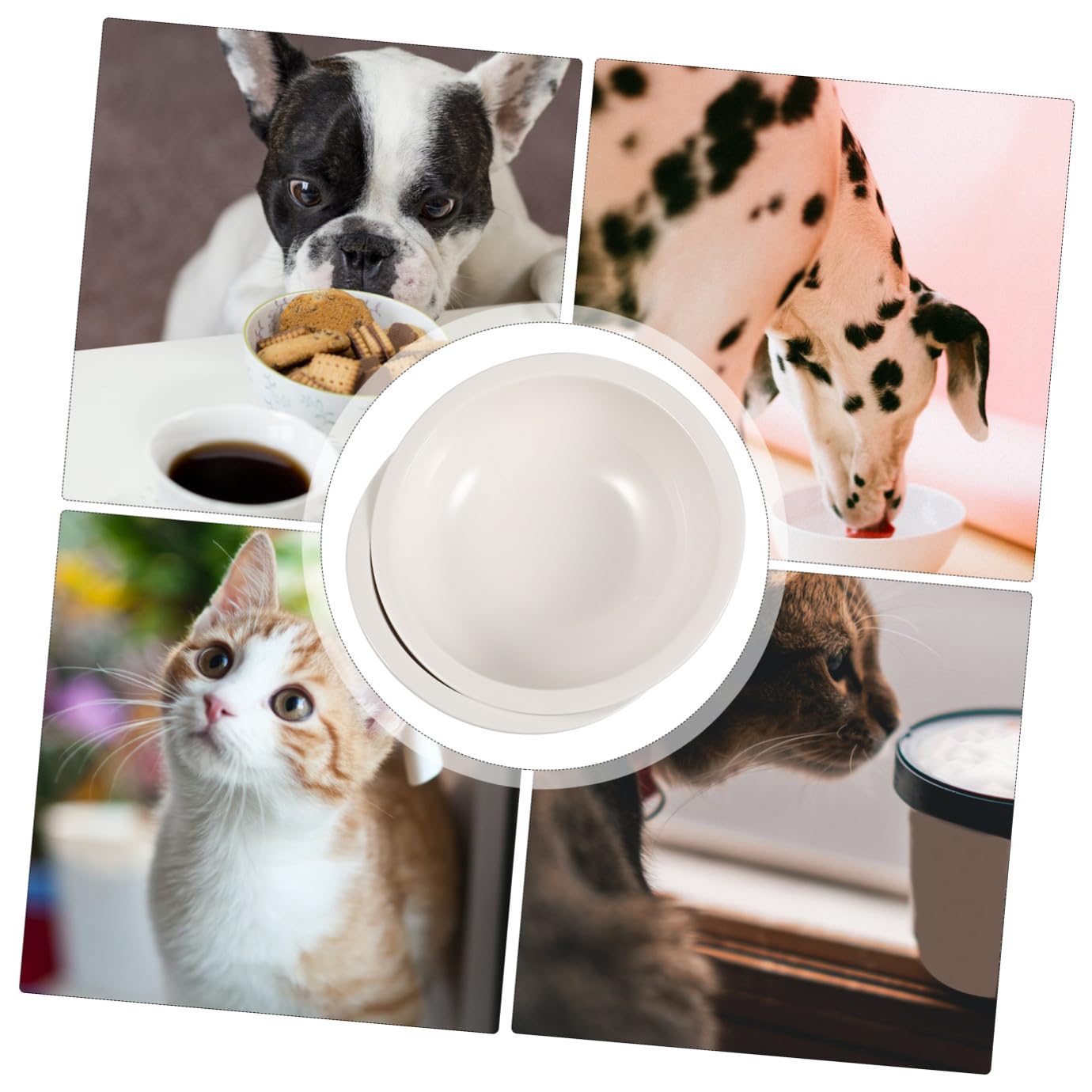 Tazón para Mascotas de Cerámica Blanco Antideslizante 2 Piezas | Fácil de Limpiar, Diseño Simple, para Gato y Perro, Suministros para Mascotas
