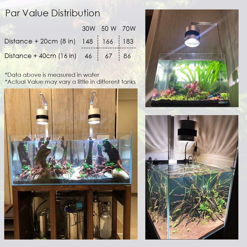 水槽 HIRO 水槽 HIRO hiro (@hiro76_aquarium) / X