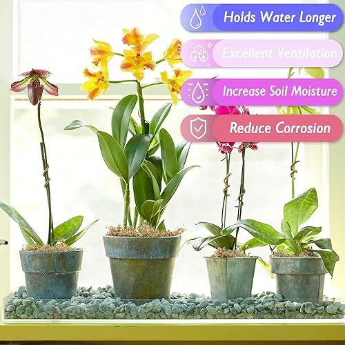 Miniatura 28 de Halatool Musgo natural de esfagno de 4.4 libras para plantas, 85 cuartos de galón, turba de primera calidad, secado con musgo de fibra larga, musgo