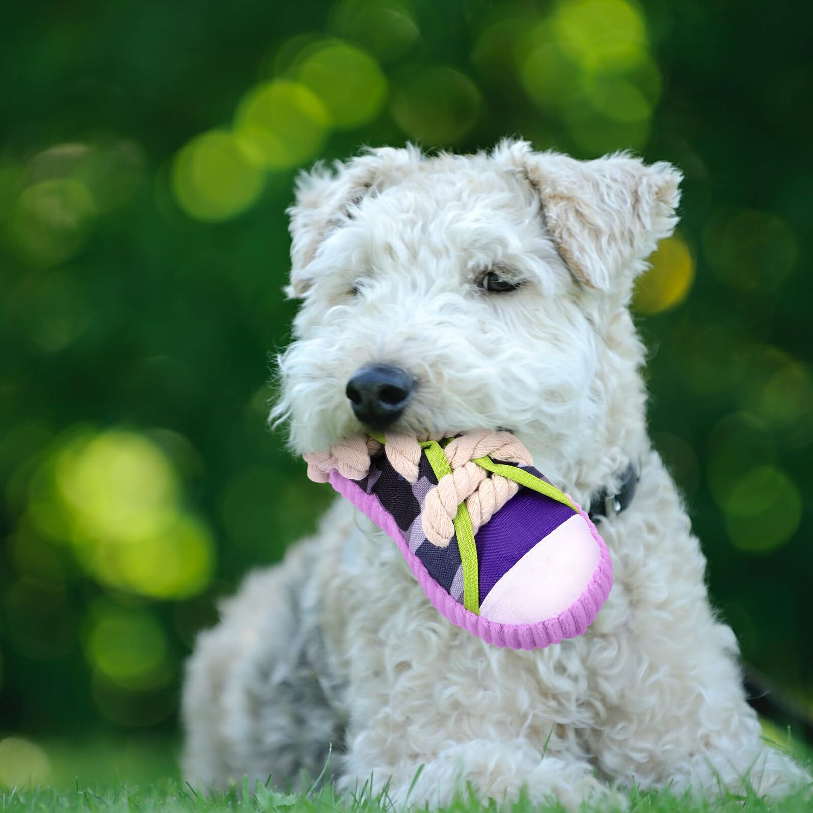 Juguete para Perros Pequeños con Sonido Zapato para Morder y Masticar Juguete Interactivo para Cachorros para Limpiar Dientes y Evitar Daños Muebles Color Morado