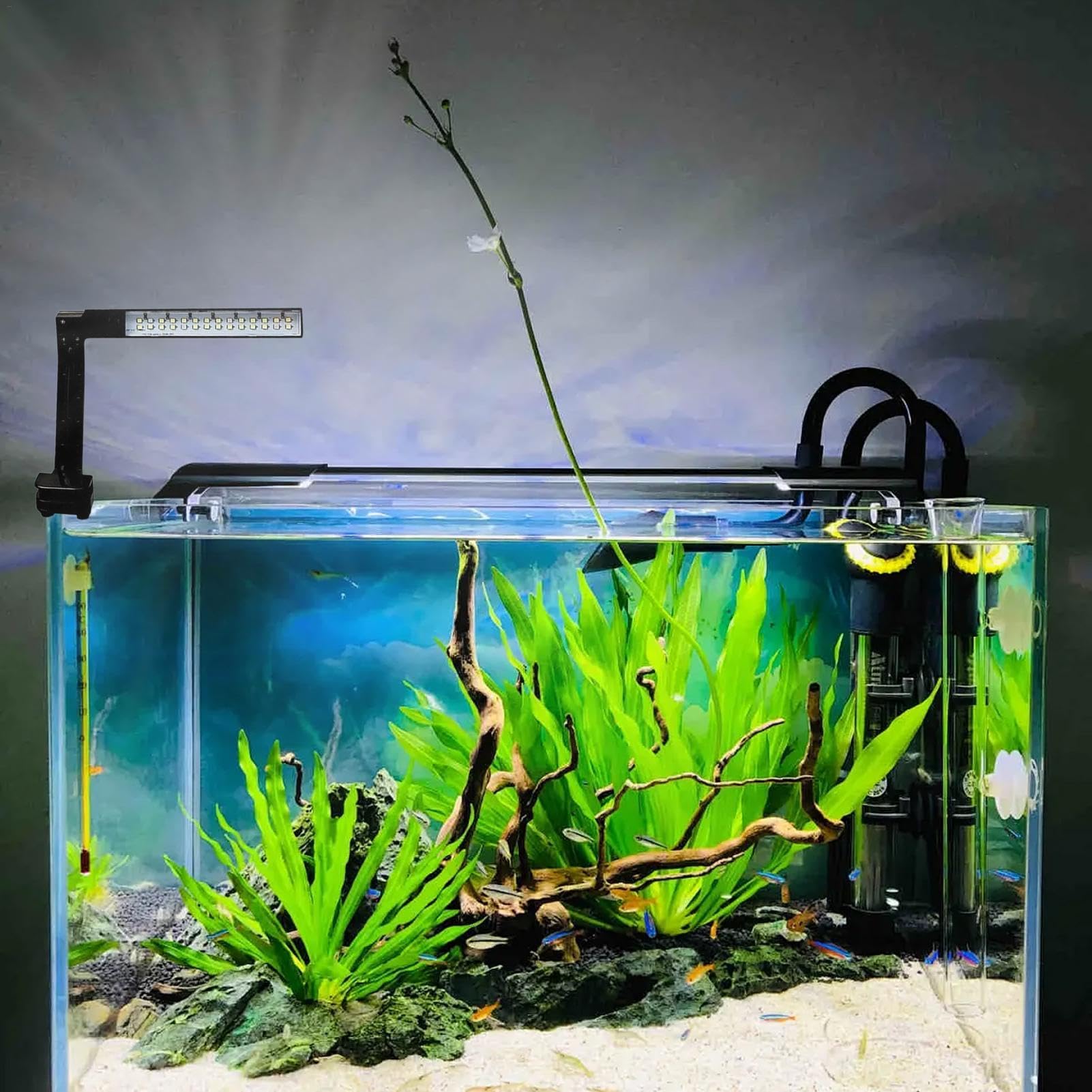 Amazon.co.jp: Nhujevkom 水槽用LEDライト | 植えられた水槽 水槽 育つ