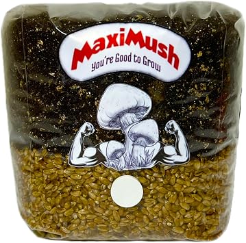 XL Mushroom Grow Kit! Magic Grow Bag for Mushrooms! XL 4lbs. Grain, Substrate, and Injection Port All-in-One! The Good to Grow Kit!