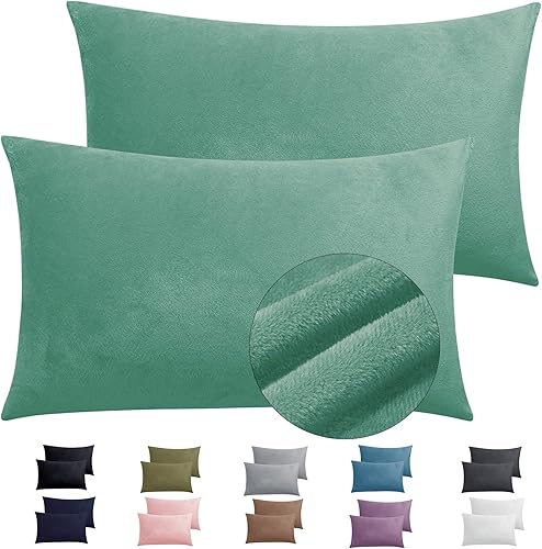 Miniatura 56 de TELUS 2 Pack Zippered Velvet Standard Pillowcases, Super Soft and Cozy Luxury Fuzzy Flannel Pillow Cases with Zipper, 20x26 Inches, Light Blue